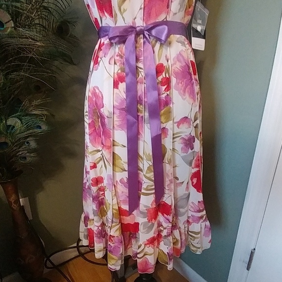 Sandra Darren Fit and Flare Dress Size 8P - Picture 3 of 8